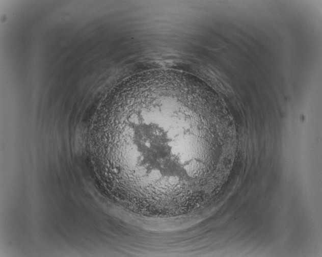 X0000085060030200703121536