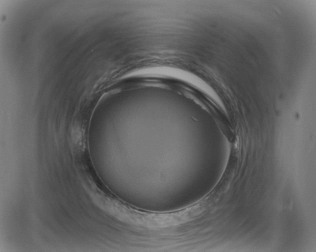 X0000085060031200703121536