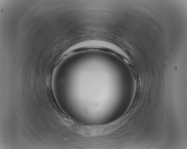 X0000085060033200703121536