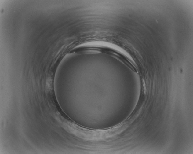 X0000085060035200703121536