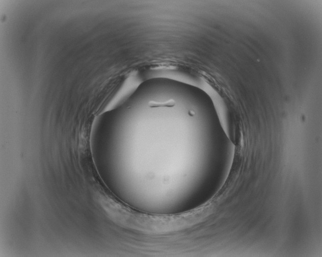 X0000085060037200703121536