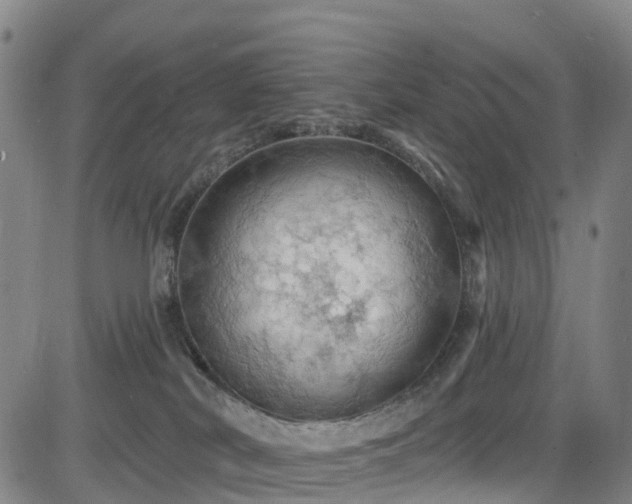 X0000085060038200703121536