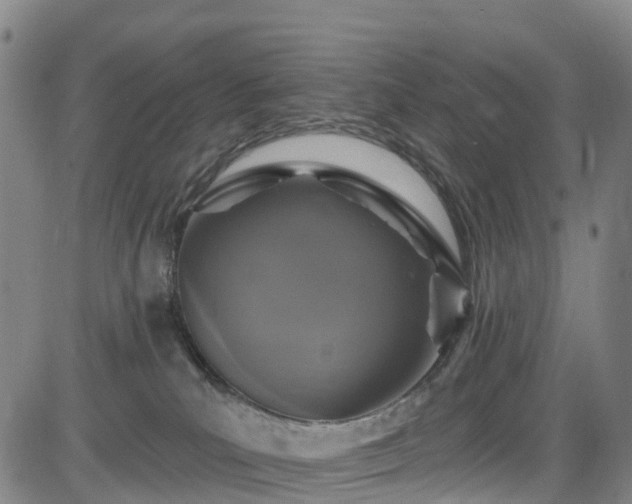 X0000085060039200703121536