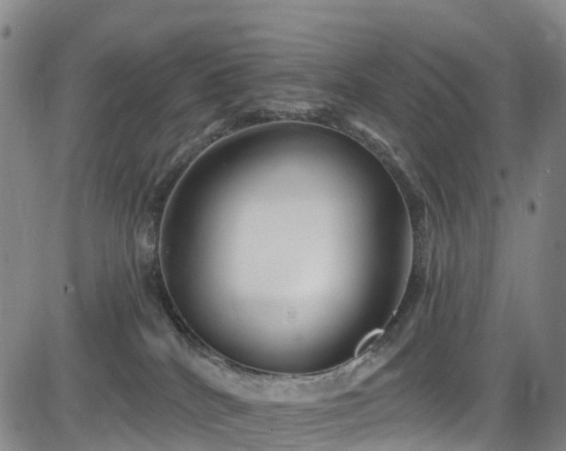 X0000085060040200703121536