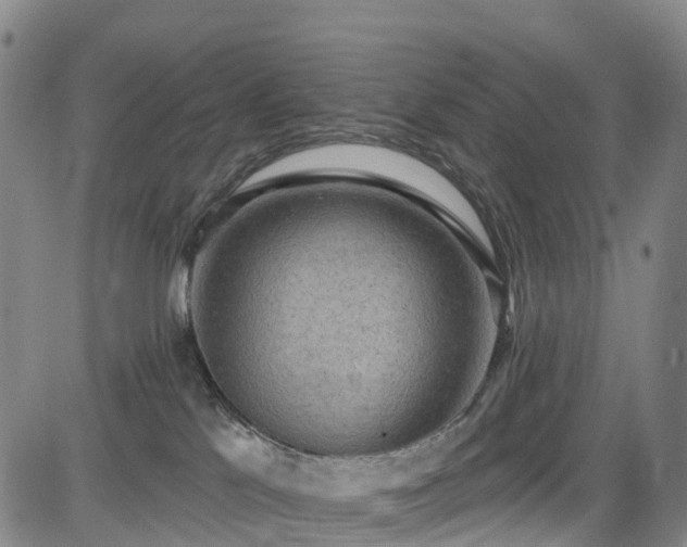 X0000085060041200703121536