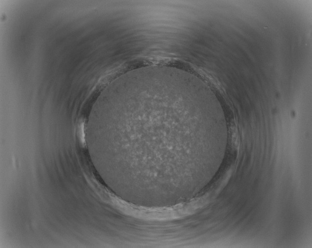 X0000085060042200703121536