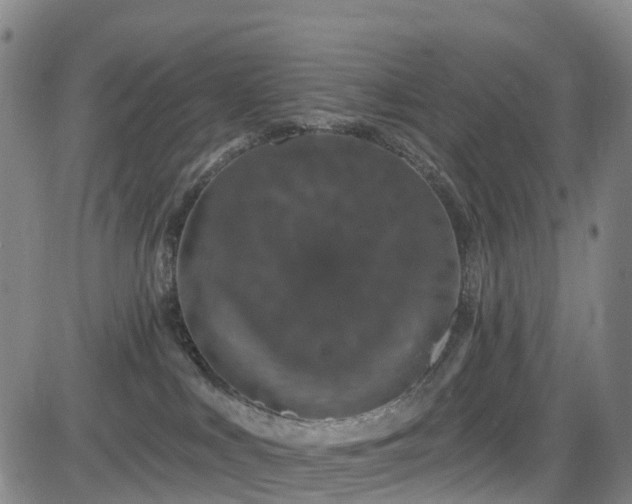 X0000085060043200703121536