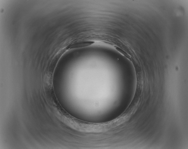 X0000085060044200703121536