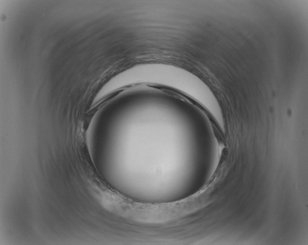 X0000085060045200703121536