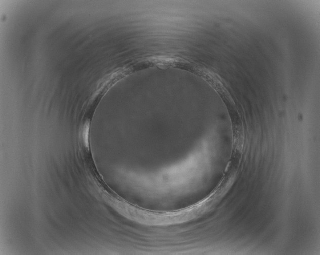 X0000085060047200703121536