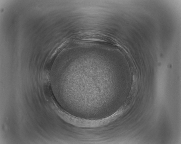 X0000085060048200703121536