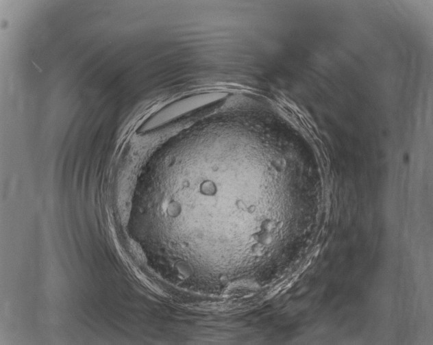 X0000085060049200703121535