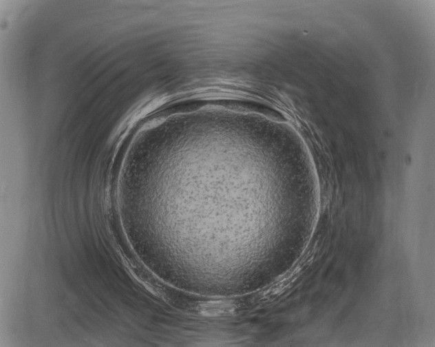 X0000085060050200703121535