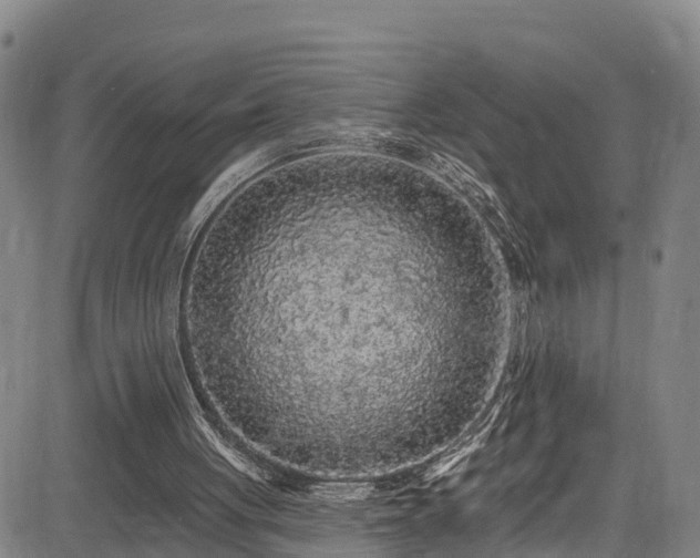 X0000085060051200703121535