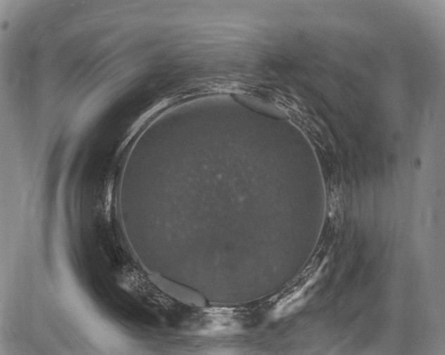 X0000085060052200703121535