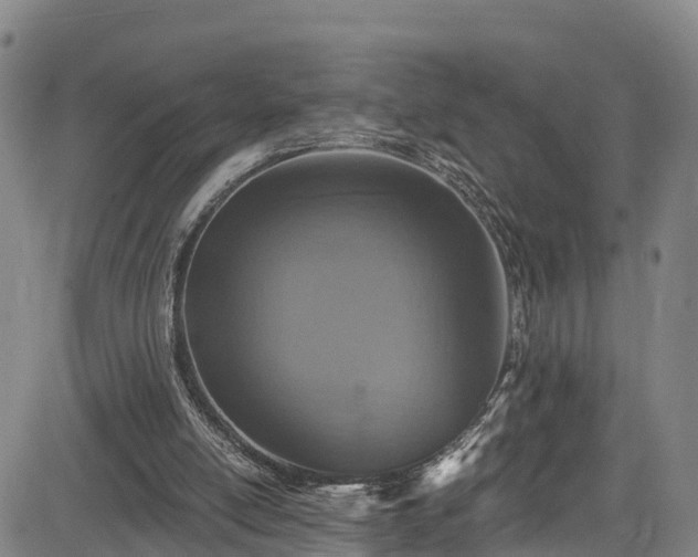 X0000085060054200703121535