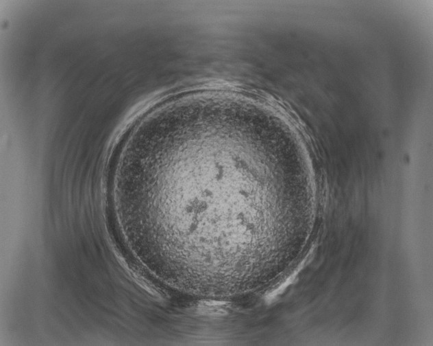 X0000085060055200703121535