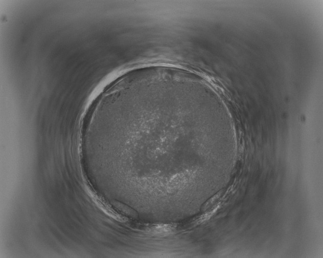 X0000085060056200703121535