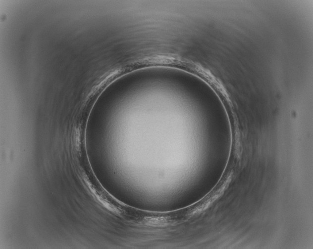 X0000085060057200703121535