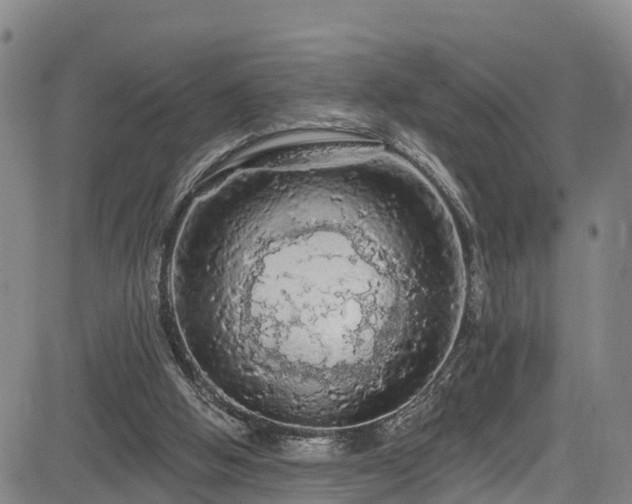 X0000085060058200703121535