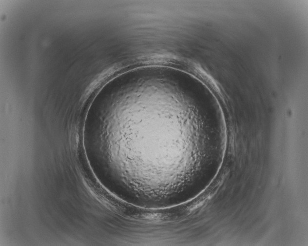 X0000085060059200703121535