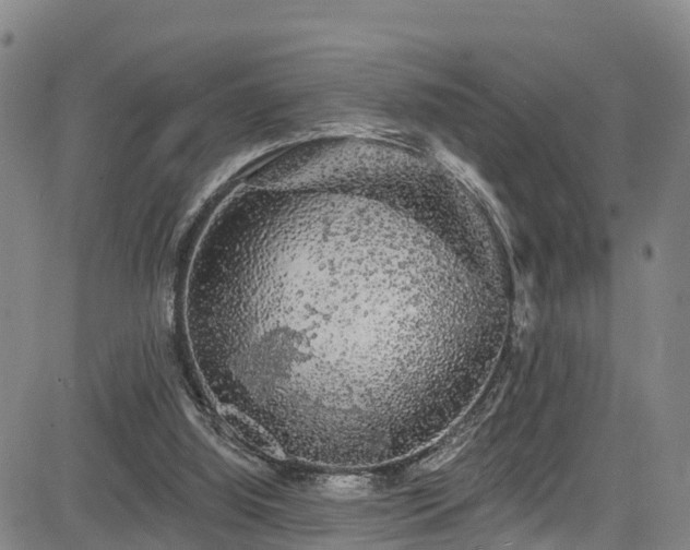 X0000085060060200703121535