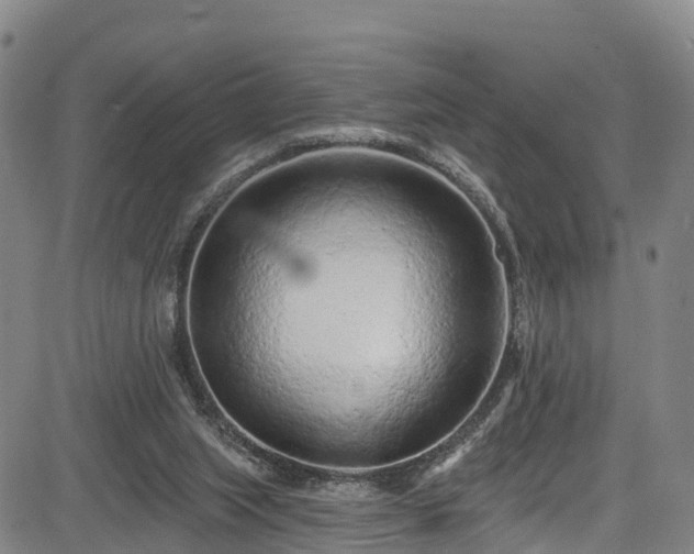 X0000085060063200703121535