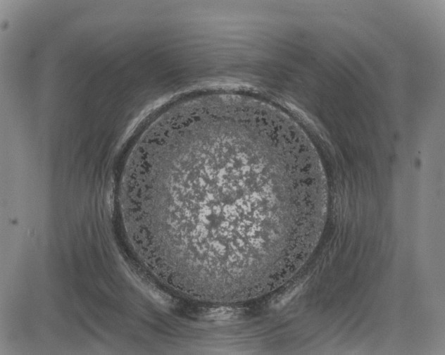 X0000085060064200703121535