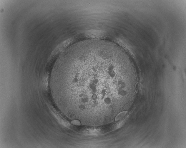 X0000085060065200703121535