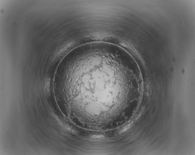 X0000085060066200703121535