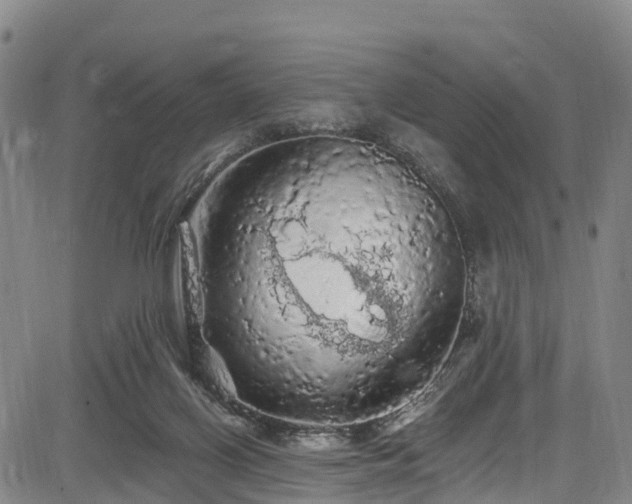 X0000085060070200703121536