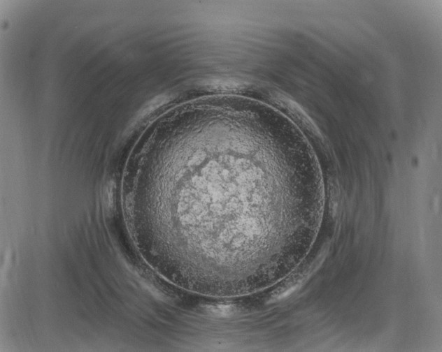 X0000085060071200703121536