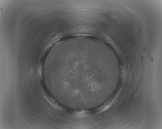 X0000085060072200703121536