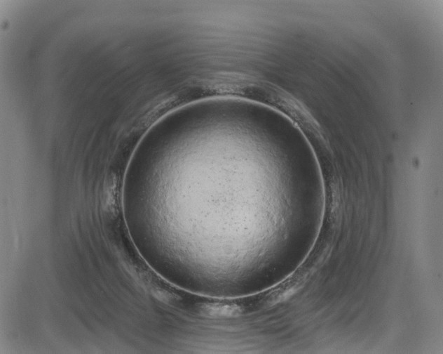 X0000085060073200703121536