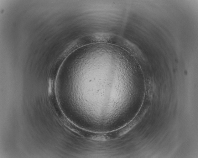 X0000085060075200703121536