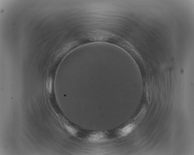 X0000085060076200703121536