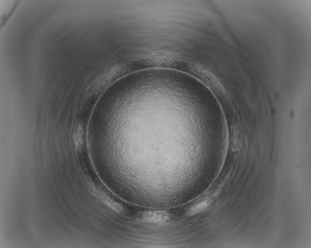 X0000085060077200703121536