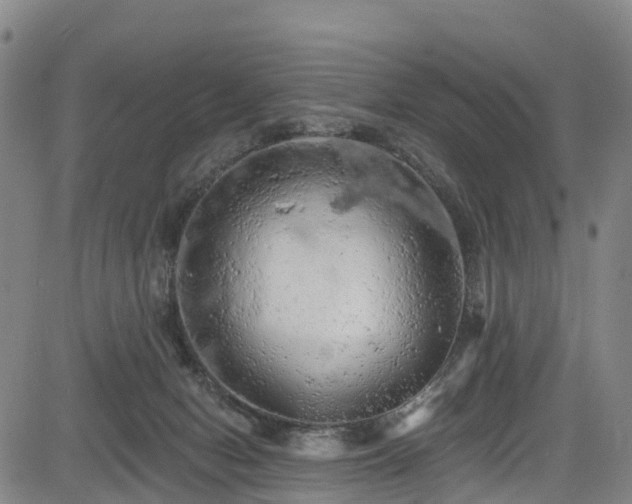 X0000085060078200703121536