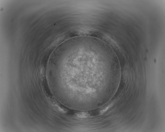 X0000085060079200703121536