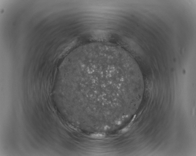 X0000085060080200703121536