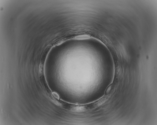 X0000085060081200703121536