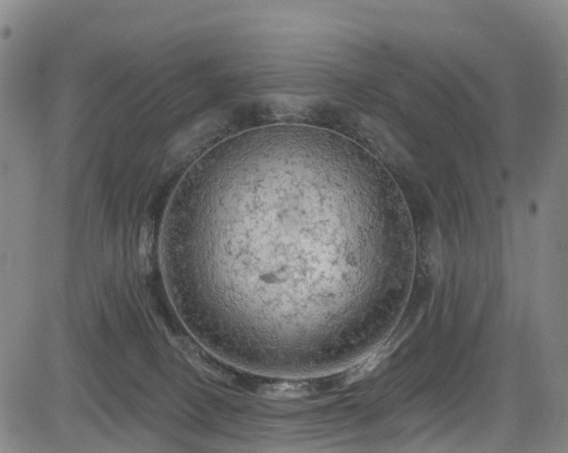 X0000085060082200703121536