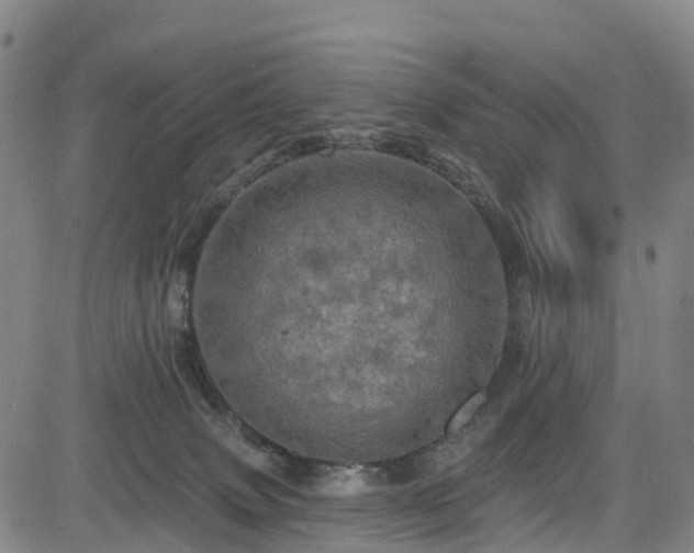 X0000085060083200703121536