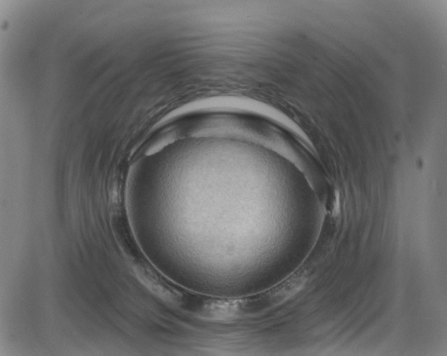 X0000085060084200703121536