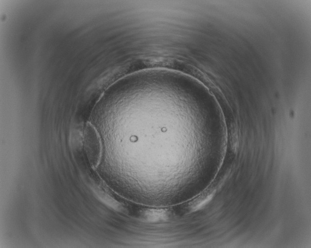 X0000085060085200703121536