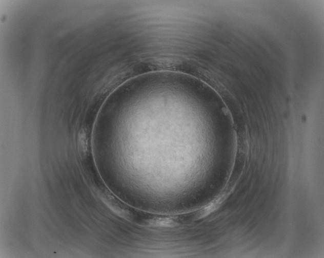 X0000085060086200703121536