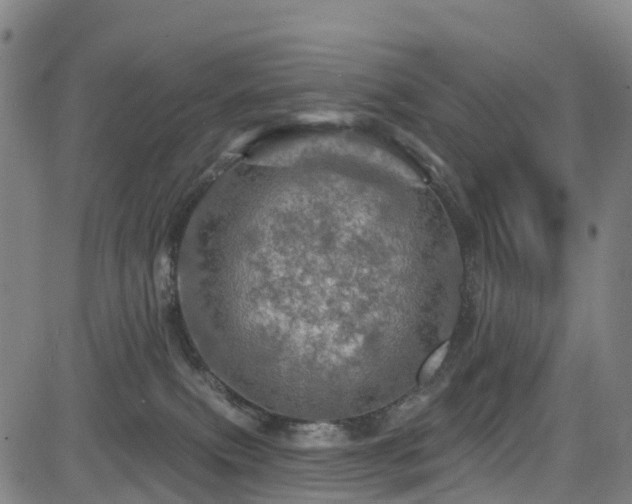 X0000085060087200703121536