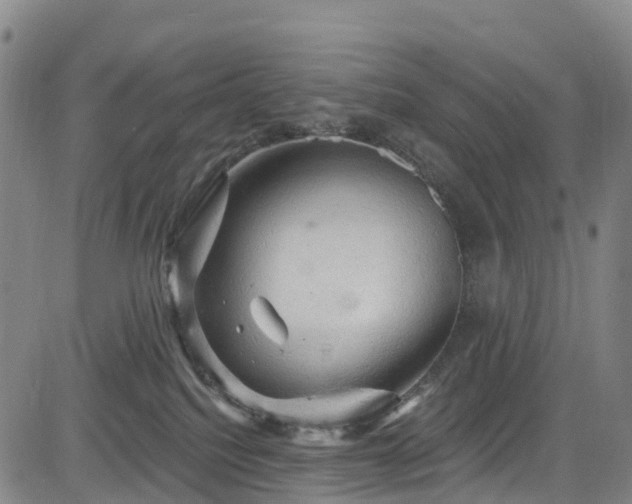 X0000085060088200703121536