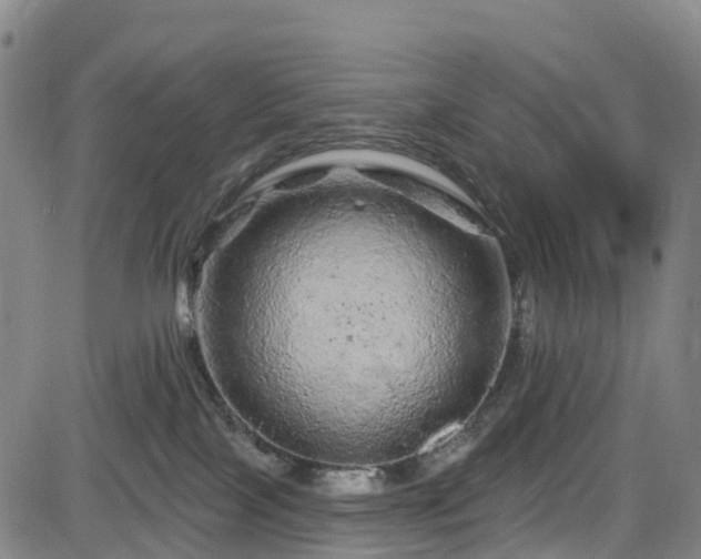 X0000085060089200703121536