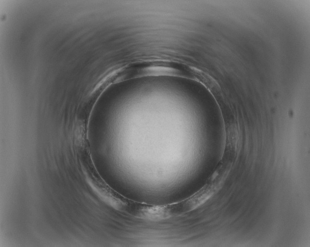 X0000085060092200703121536